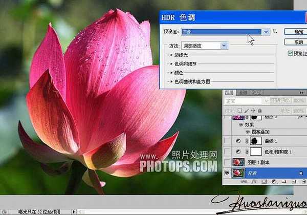 Photoshop将荷花特写图片打造出高清的暗紫色效果